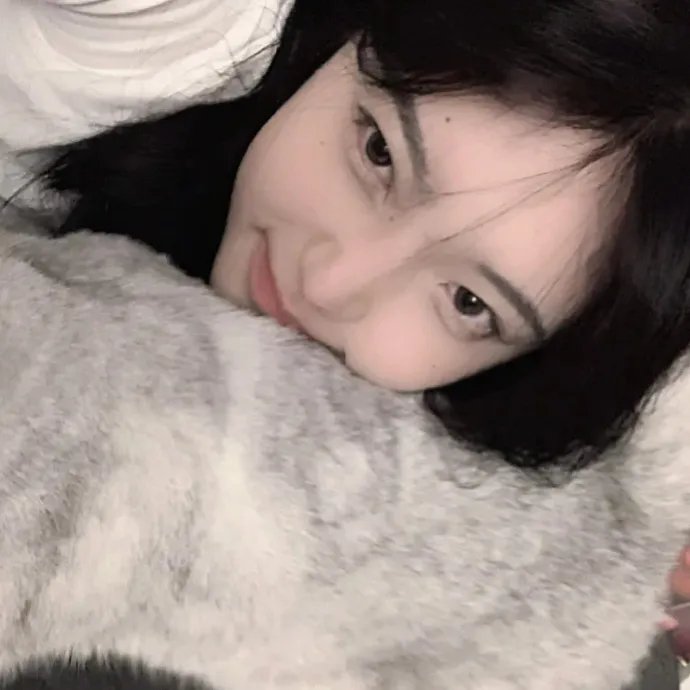 仙女座报告