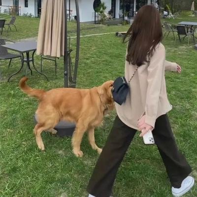逆女泰瑞丝